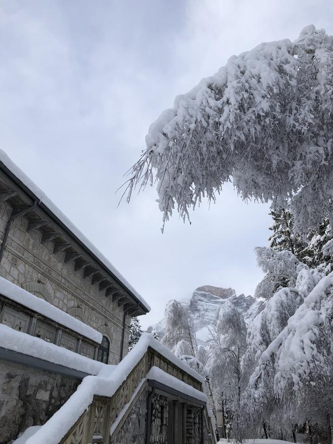 Th Borca Di Cadore - Park Hotel Des Dolomites Exteriér fotografie